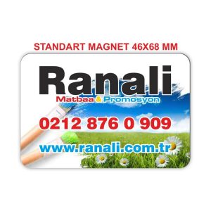 Mıknatıslı Magnet